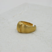 Anillo Endina