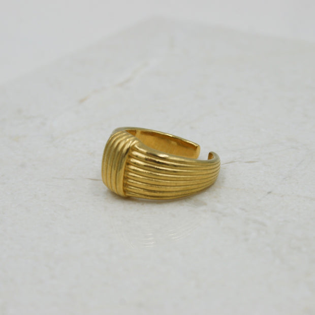 Anillo Endina