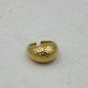 Anillo Glaciar