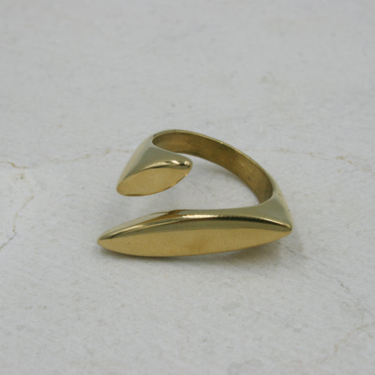 Anillo Aura