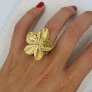 Anillo Halo