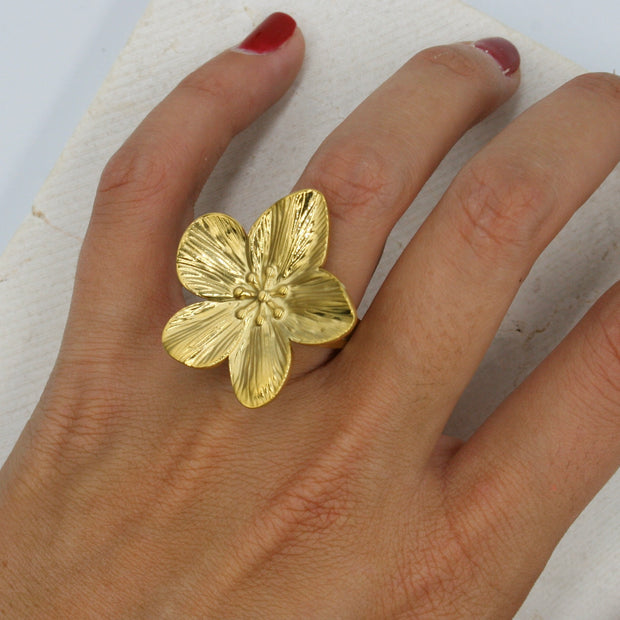 Anillo Halo