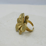 Anillo Alba