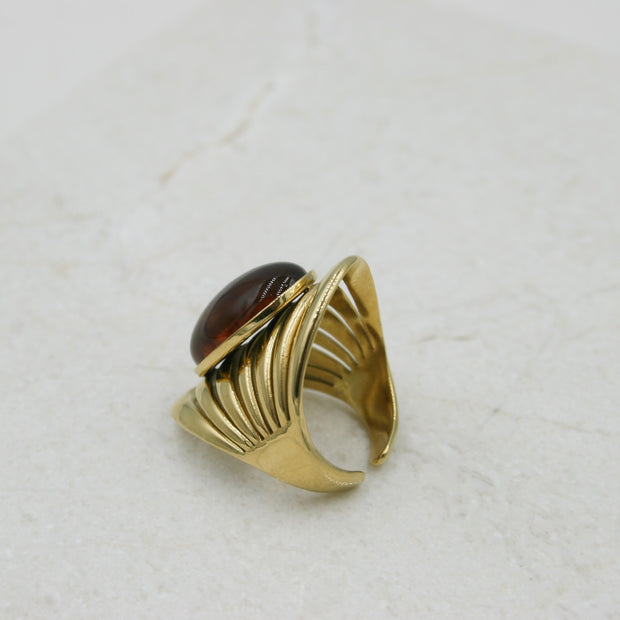 Anillo Circle