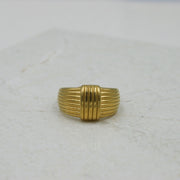 Anillo Endina