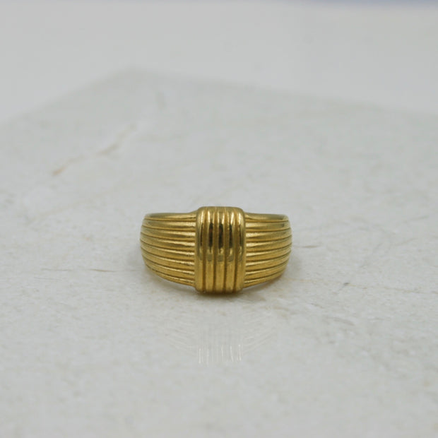 Anillo Endina