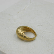 Anillo Glaciar