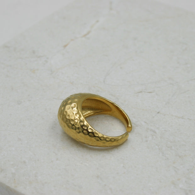 Anillo Glaciar