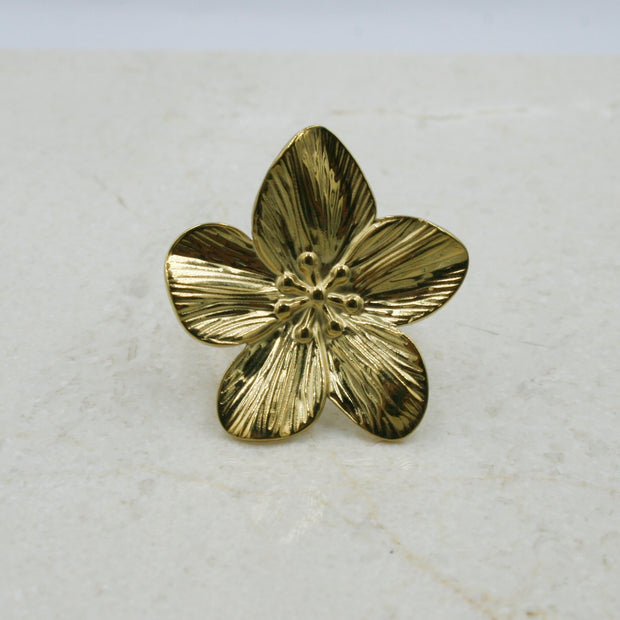 Anillo Halo